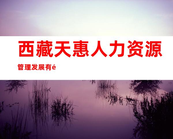 西藏天惠人力资源管理发展有限公司